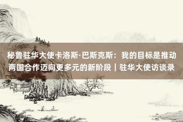 秘鲁驻华大使卡洛斯·巴斯克斯：我的目标是推动两国合作迈向更多元的新阶段｜驻华大使访谈录