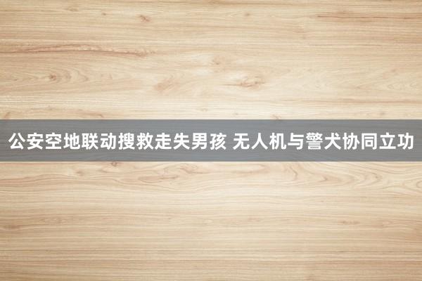 公安空地联动搜救走失男孩 无人机与警犬协同立功