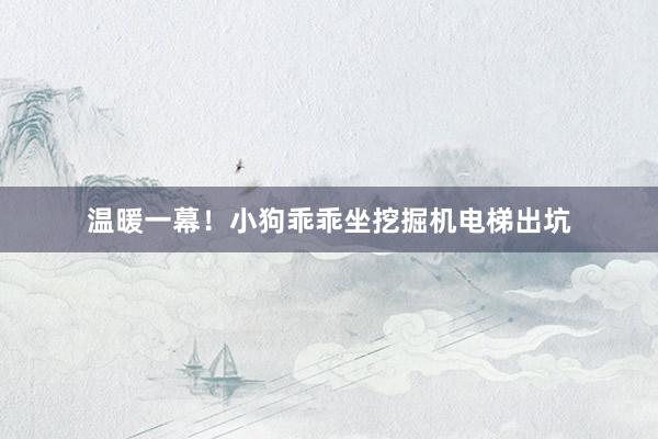 温暖一幕！小狗乖乖坐挖掘机电梯出坑