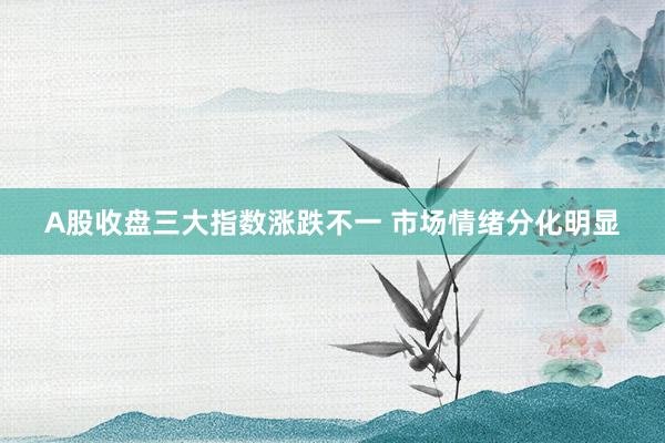 A股收盘三大指数涨跌不一 市场情绪分化明显