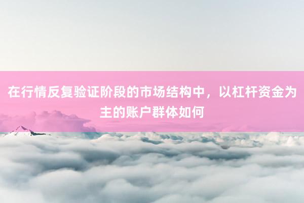 在行情反复验证阶段的市场结构中,以杠杆资金为主的账户群体如何