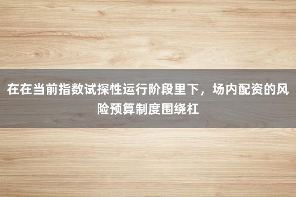 在在当前指数试探性运行阶段里下，场内配资的风险预算制度围绕杠