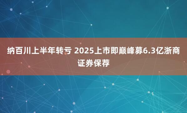 纳百川上半年转亏 2025上市即巅峰募6.3亿浙商证券保荐