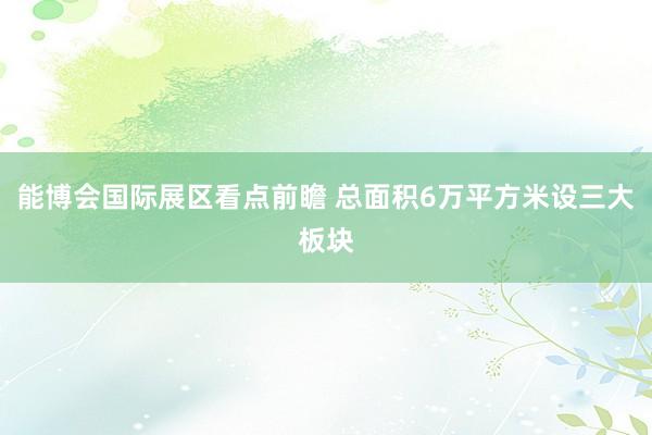 能博会国际展区看点前瞻 总面积6万平方米设三大板块