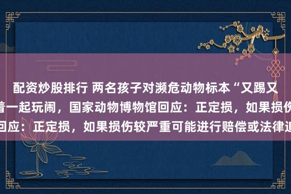 配资炒股排行 两名孩子对濒危动物标本“又踢又抓”父亲不制止反而跟着一起玩闹，国家动物博物馆回应：正定损，如果损伤较严重可能进行赔偿或法律追责