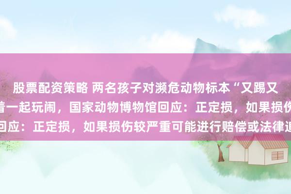 股票配资策略 两名孩子对濒危动物标本“又踢又抓”父亲不制止反而跟着一起玩闹，国家动物博物馆回应：正定损，如果损伤较严重可能进行赔偿或法律追责