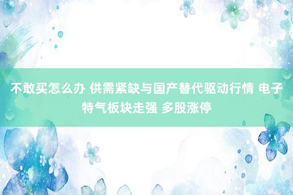不敢买怎么办 供需紧缺与国产替代驱动行情 电子特气板块走强 多股涨停