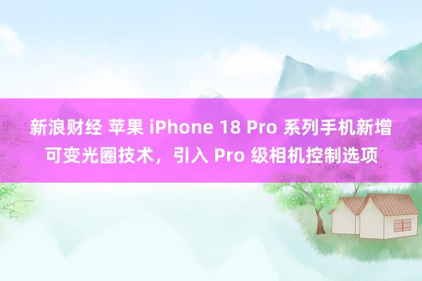 新浪财经 苹果 iPhone 18 Pro 系列手机新增可变光圈技术，引入 Pro 级相机控制选项