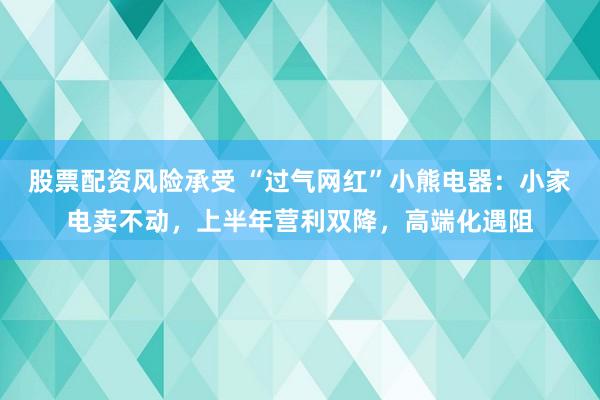股票配资风险承受 “过气网红”小熊电器：小家电卖不动，上半年营利双降，高端化遇阻